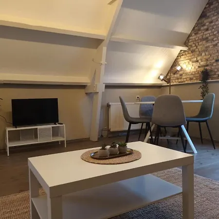 Apartment Attic In The Center *