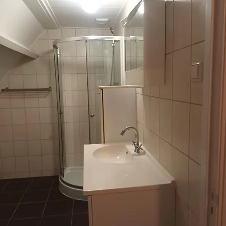 Apartment Attic In The Center *