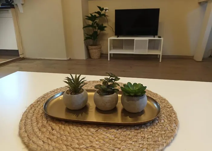 Attic In The Center アパート *