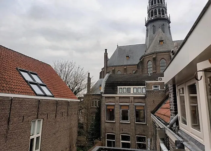 Attic In The Center ゴーダ