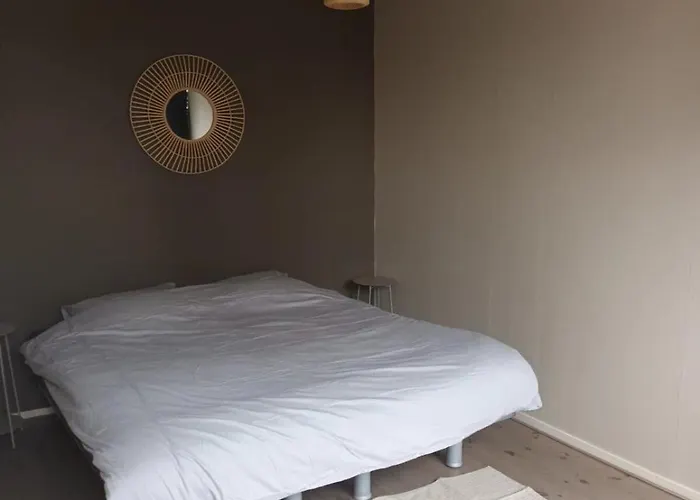 Attic In The Center ゴーダ