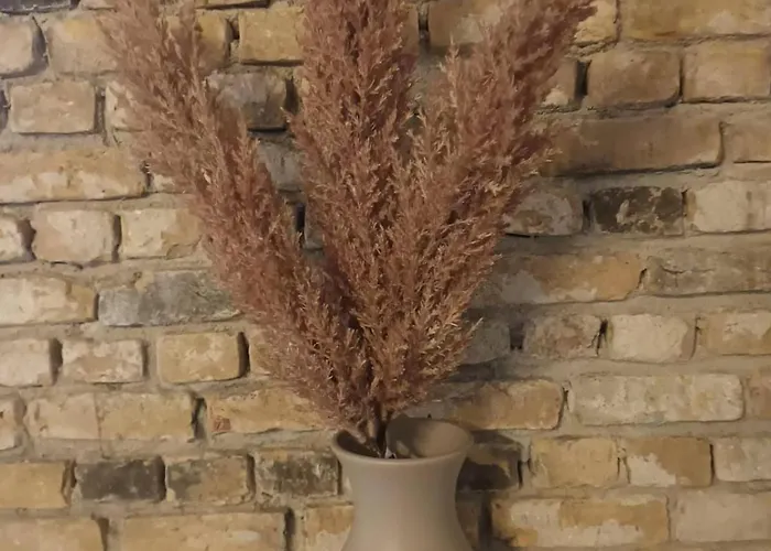 Attic In The Center アパート