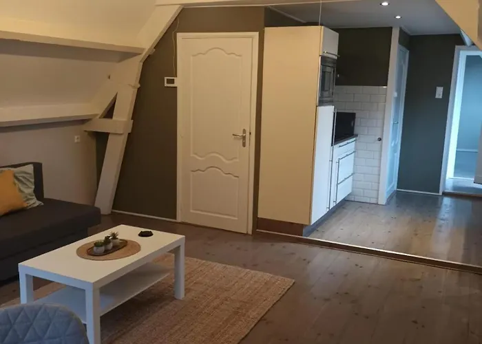 Attic In The Center アパート *