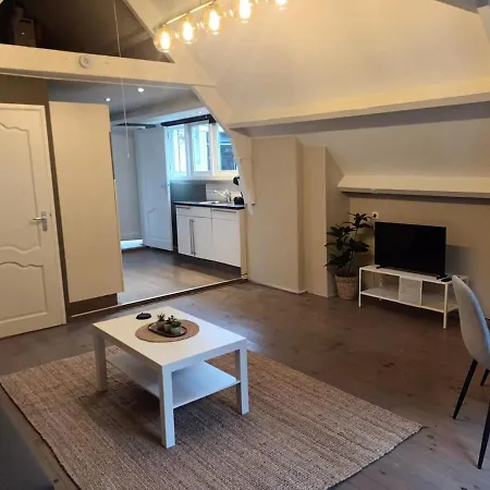 Apartmán Attic In The Center Gouda